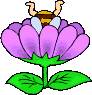 bee diving in flower